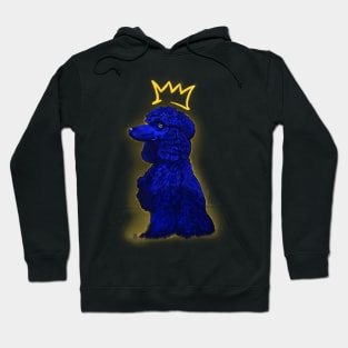 ROHyal Poodle In Blue Hoodie